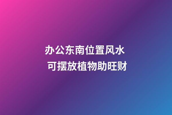 办公东南位置风水  可摆放植物助旺财